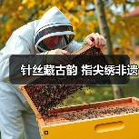 针丝藏古韵 指尖绣非遗