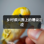 乡村振兴路上的建设足迹
