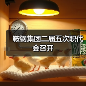 鞍钢集团二届五次职代会召开