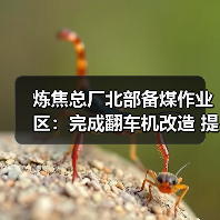炼焦总厂北部备煤作业区:完成翻车机改造 提升备煤系统运行效率 炼焦总厂北部备煤作业区:完成翻车机改造 提升备煤系统运行效率