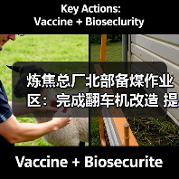 炼焦总厂北部备煤作业区:完成翻车机改造 提升备煤系统运行效率 炼焦总厂北部备煤作业区:完成翻车机改造 提升备煤系统运行效率