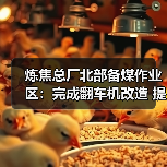 炼焦总厂北部备煤作业区:完成翻车机改造 提升备煤系统运行效率 炼焦总厂北部备煤作业区:完成翻车机改造 提升备煤系统运行效率