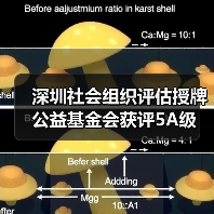 深圳社会组织评估授牌 公益基金会获评5A级