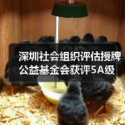 深圳社会组织评估授牌 公益基金会获评5A级