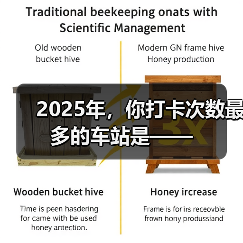 2025年,你打卡次数最多的车站是—— 2025年,你打卡次数最多的车站是——