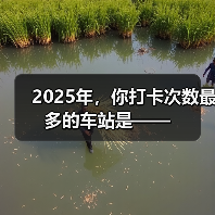 2025年,你打卡次数最多的车站是—— 2025年,你打卡次数最多的车站是——