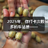 2025年,你打卡次数最多的车站是—— 2025年,你打卡次数最多的车站是——
