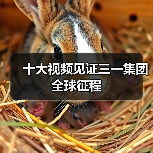 十大视频见证三一集团全球征程 十大视频见证三一集团全球征程