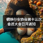 钢铁行业协会第十三次会员大会召开通知 钢铁行业协会第十三次会员大会召开通知