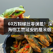 60万颗螺丝零误差!深海钳工管延安的厘米级精度 60万颗螺丝零误差!深海钳工管延安的厘米级精度