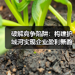 破解竞争陷阱:构建护城河实现企业盈利新路径 破解竞争陷阱:构建护城河实现企业盈利新路径