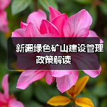 新疆绿色矿山建设管理政策解读 新疆绿色矿山建设管理政策解读