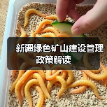 新疆绿色矿山建设管理政策解读 新疆绿色矿山建设管理政策解读