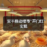 实干推动楼市"开门红"实现