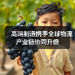 高端制造携手全球物流 产业链协同升级 高端制造携手全球物流 产业链协同升级