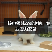 核电领域双感谢信，专业实力获赞
