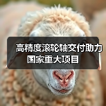 高精度滚轮轴交付助力国家重大项目