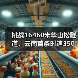 挑战16460米华山松隧道,云南首条时速350高铁如何攻克复杂地质? 挑战16460米华山松隧道,云南首条时速350高铁如何攻克复杂地质?