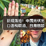 新规落地!中国光伏出口退税取消,日用物项管制升级 新规落地!中国光伏出口退税取消,日用物项管制升级