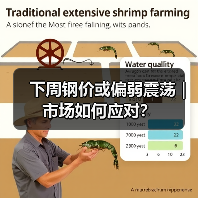 下周钢价或偏弱震荡｜市场如何应对？