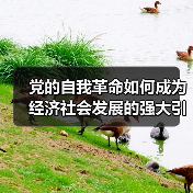 党的自我革命如何成为经济社会发展的强大引擎? 党的自我革命如何成为经济社会发展的强大引擎?