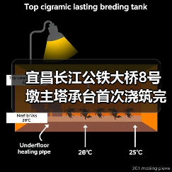 宜昌长江公铁大桥8号墩主塔承台首次浇筑完成