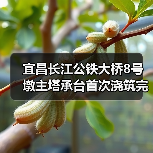 宜昌长江公铁大桥8号墩主塔承台首次浇筑完成