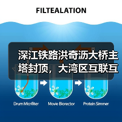 深江铁路洪奇沥大桥主塔封顶,大湾区互联互通将如何升级? 深江铁路洪奇沥大桥主塔封顶,大湾区互联互通将如何升级?