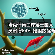 塔克什肯口岸第三国人员激增64% 抢眼数据背后有何趋势? 塔克什肯口岸第三国人员激增64% 抢眼数据背后有何趋势?