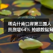 塔克什肯口岸第三国人员激增64% 抢眼数据背后有何趋势? 塔克什肯口岸第三国人员激增64% 抢眼数据背后有何趋势?