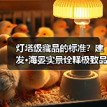 灯塔级藏品的标准?建发·海晏实景诠释极致品质 灯塔级藏品的标准?建发·海晏实景诠释极致品质