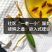 社区“一老一小”服务破解之道：嵌入式建设新路径