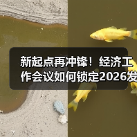 新起点再冲锋！经济工作会议如何锁定2026发展核心？
