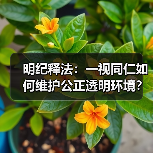 明纪释法:一视同仁如何维护公正透明环境? 明纪释法:一视同仁如何维护公正透明环境?