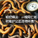 明纪释法:一视同仁如何维护公正透明环境? 明纪释法:一视同仁如何维护公正透明环境?
