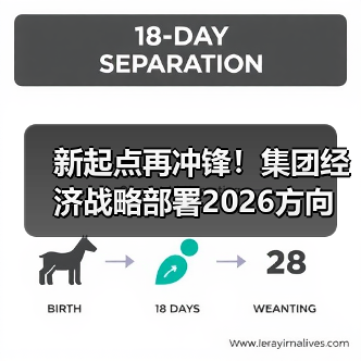 新起点再冲锋!集团经济战略部署2026方向 新起点再冲锋!集团经济战略部署2026方向