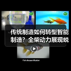 传统制造如何转型智能制造?全柴动力展现蜕变之路 传统制造如何转型智能制造?全柴动力展现蜕变之路