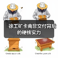 徐工矿卡南非交付背后的硬核实力 徐工矿卡南非交付背后的硬核实力
