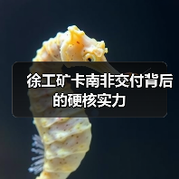 徐工矿卡南非交付背后的硬核实力 徐工矿卡南非交付背后的硬核实力