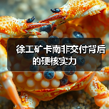 徐工矿卡南非交付背后的硬核实力 徐工矿卡南非交付背后的硬核实力