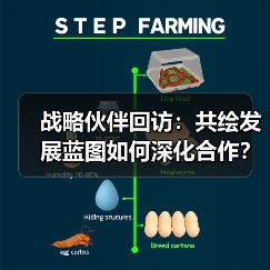 战略伙伴回访:共绘发展蓝图如何深化合作? 战略伙伴回访:共绘发展蓝图如何深化合作?