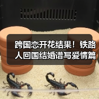 跨国恋开花结果!铁路人回国结婚谱写爱情篇章 跨国恋开花结果!铁路人回国结婚谱写爱情篇章