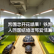 跨国恋开花结果!铁路人回国结婚谱写爱情篇章 跨国恋开花结果!铁路人回国结婚谱写爱情篇章