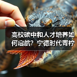 高校碳中和人才培养如何启航？宁德时代青柠计划详解