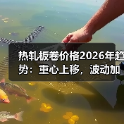 热轧板卷价格2026年趋势:重心上移,波动加剧? 热轧板卷价格2026年趋势:重心上移,波动加剧?