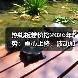 热轧板卷价格2026年趋势:重心上移,波动加剧? 热轧板卷价格2026年趋势:重心上移,波动加剧?
