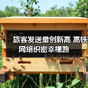 旅客发送量创新高 高铁网络织密幸福路 旅客发送量创新高 高铁网络织密幸福路