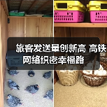 旅客发送量创新高 高铁网络织密幸福路 旅客发送量创新高 高铁网络织密幸福路