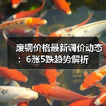 废钢价格最新调价动态：6涨5跌趋势解析