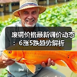 废钢价格最新调价动态：6涨5跌趋势解析